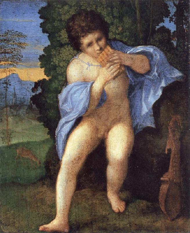 Palma Vecchio Young Faunus Playing the Syrinx china oil painting image